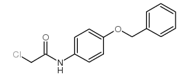 N-(4-苄氧基-苯基)-2-氯-乙酰胺 结构式