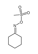 Cyclohexanone, O-(methylsulfonyl)oxime 结构式