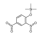 Silane, (2,4-dinitrophenoxy)trimethyl- 结构式