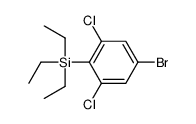 Silane, (4-bromo-2,6-dichlorophenyl)triethyl- 结构式