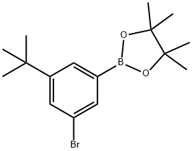 2-(3-溴-5-(叔丁基)苯基)-4,4,5,5-四甲基-1,3,2-二氧硼杂环戊烷 结构式