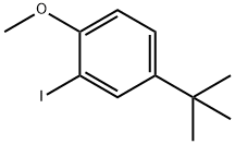 4-(叔丁基)-2-碘-1-甲氧基苯 结构式