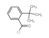 2-叔丁基苯甲酰氯 结构式
