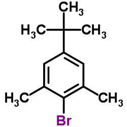 2-溴-5-叔丁基-1,3-二甲苯 结构式