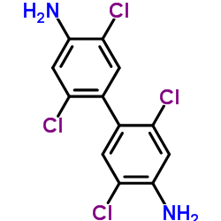 2,2',5,5'-四氯二苯胺 结构式