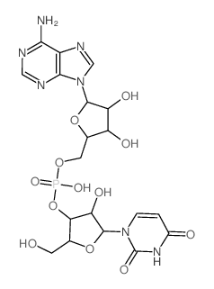 腺苷酰基-(3',5')-尿苷 结构式