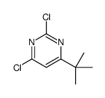 4-叔丁基-2,6-二氯嘧啶 结构式