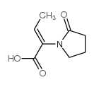 (Z)-2-(2-氧代吡咯烷-1-基)丁-2-烯酸 结构式