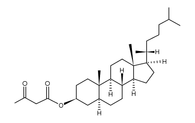 Cholestan-3-ol, 3-oxobutanoate, (3β,5α)- (9CI) 结构式