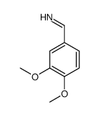 3,4-二甲氧基苯甲亚胺 结构式