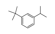 1-Isoproyl-3-tert-butylbenzene 结构式