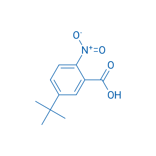 5-叔丁基-2-硝基苯甲酸 结构式