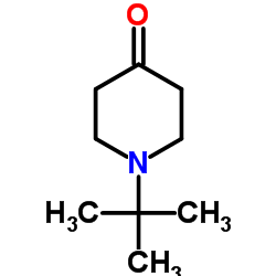 1-叔丁基哌啶-4-酮 结构式