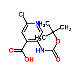5-Boc-氨基-2-氯吡啶-4-羧酸 结构式