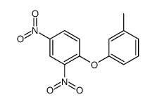 Benzene, 1-(3-methylphenoxy)-2,4-dinitro- 结构式