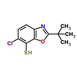 2-(叔丁基)-6-氯苯并[d]噁唑-7-硫醇 结构式