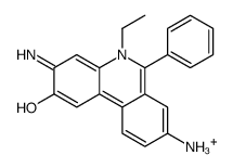3,8-二氨基-5-乙基-2-羟基-6-苯基菲啶鎓 结构式