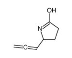 5-(1,2-丙二烯基)-2-吡咯烷酮 结构式