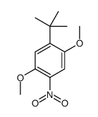 1-叔丁基-2,5-二甲氧基-4-硝基苯 结构式