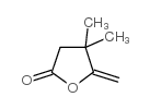 4,4-二甲基-5-亚甲基二氢呋喃-2(3H)-酮 结构式