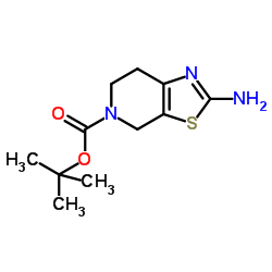 2-氨基-6,7-二氢噻唑并[5,4-C]嘧啶-5(4H)羧酸叔丁酯 结构式