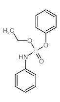 N-(ethoxy-phenoxy-phosphoryl)aniline 结构式