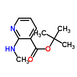 2-(甲基氨基)烟酸叔丁酯 结构式