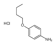 4-丁氧基苯胺盐酸盐 结构式