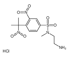 N-(2-aminoethyl)-N-methyl-3-nitro-4-(1-methyl-1-nitroethyl)benzenesulfonamide 结构式