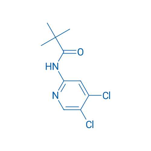 N-(4,5-二氯吡啶-2-基)-2,2-二甲基丙酰胺 结构式