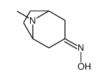 托品酮肟 结构式