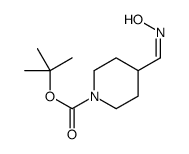 1-Boc-4-((羟基亚氨基)甲基)哌啶 结构式