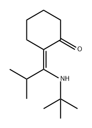 2-[1-(叔丁基氨基)-2-甲基亚丙基]环己酮 (Z)- 结构式