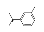 1-甲基-1-(3-甲基苯基)乙基正离子 结构式