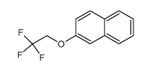 Naphthalene, 2-(2,2,2-trifluoroethoxy)- 结构式