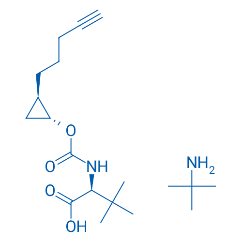 (S)-3,3-二甲基-2-((((1R,2R)-2-(戊-4-炔-1-基)环丙氧基)羰基)氨基)丁酸叔丁胺盐 结构式