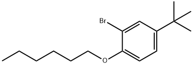 2-溴-4-叔丁基-1-己氧基苯 结构式