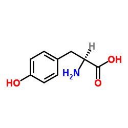 L-酪氨酸 结构式
