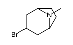8-Azabicyclo(3.2.1)octane, 3-bromo-8-methyl-, exo- 结构式