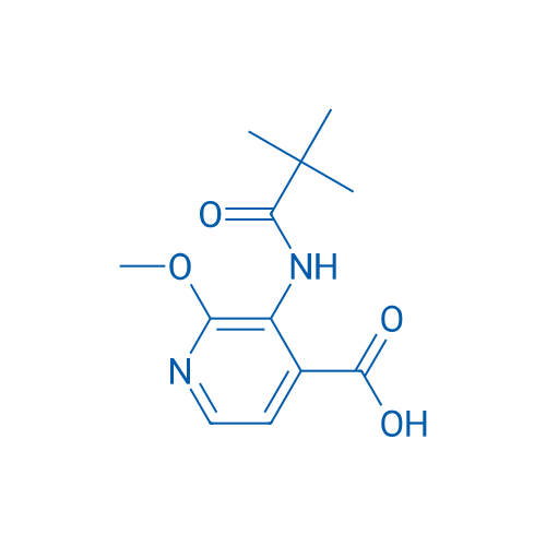 2-甲氧基-3-新戊酰胺异烟酸 结构式