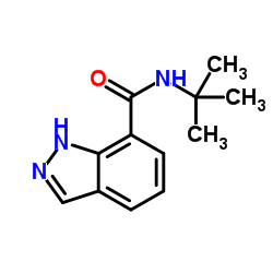 N-叔丁基-1H-吲唑-7-羧酰胺 结构式