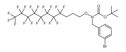 Carbamic acid, N-[(3-bromophenyl)methyl]-N-[(4,4,5,5,6,6,7,7,8,8,9,9,10,10,11,11,11-heptadecafluoroundecyl)oxy]-, 1,1-dimethylethyl ester 结构式
