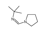 2-Propanamine, 2-methyl-N2-[1-tetrahydro-1H-1-pyrrolylmethylidene] 结构式