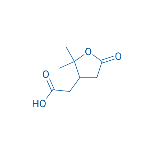 2-(2,2-二甲基-5-氧代四氢呋喃-3-基)乙酸 结构式