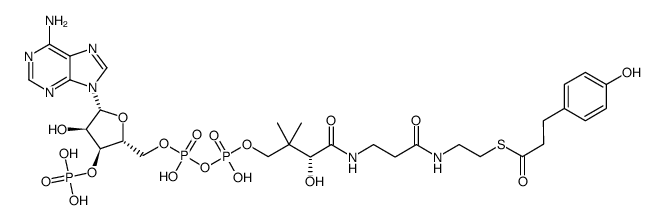 Coenzyme A, S-(4-hydroxybenzenepropanoate) 结构式