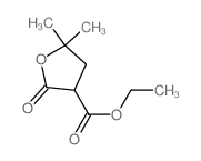 5,5-二甲基-2-氧代四氢呋喃-3-羧酸乙酯 结构式