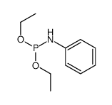 Phosphoramidous acid, phenyl-, diethyl ester (7CI,8CI,9CI) 结构式