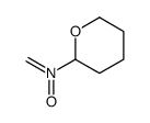2H-Pyran-2-amine, tetrahydro-N-methylene-, N-oxide 结构式