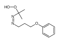 Diazene, 1-(1-hydroperoxy-1-methylethyl)-2-(3-phenoxypropyl)- 结构式