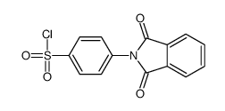 4-(1,3-二氧代异吲哚啉-2-基)苯磺酰氯 结构式